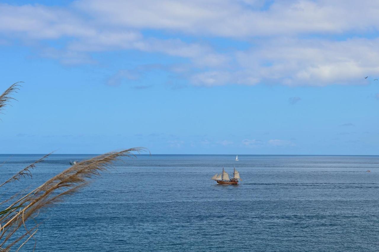 Вилла Panoramic Seaview Escape Пуэрто-де-Сантьяго Экстерьер фото